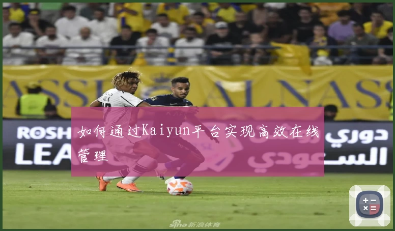 如何通过Kaiyun平台实现高效在线管理