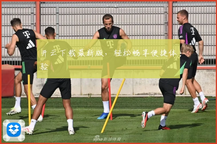开云下载最新版，轻松畅享便捷体验