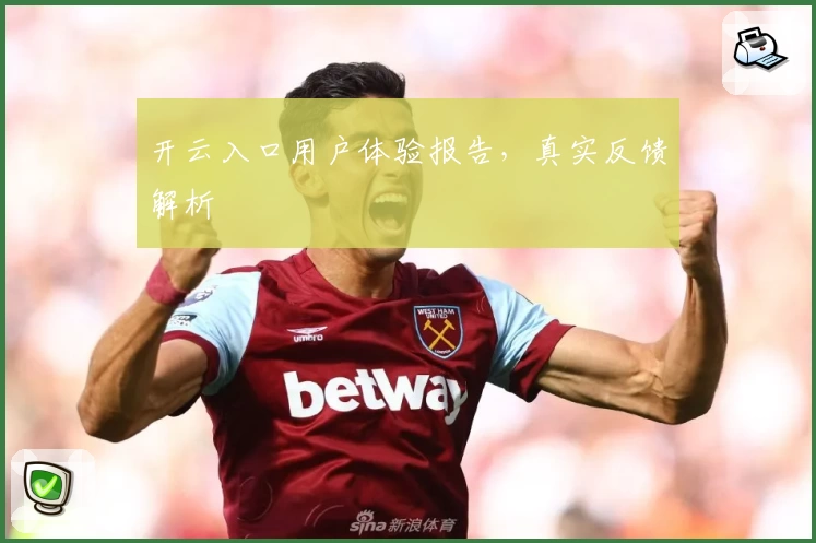 开云入口用户体验报告，真实反馈解析