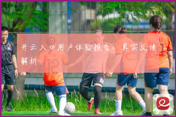 开云入口用户体验报告，真实反馈解析