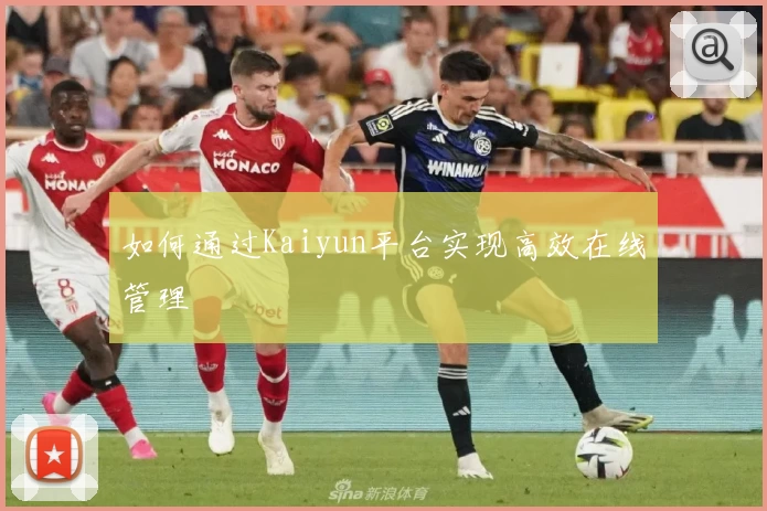 如何通过Kaiyun平台实现高效在线管理